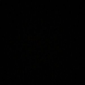 Meet your Posher, Abdul